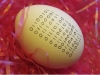 binary_egg