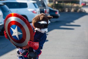 rocket_raccoon_and_cap_s_shield_by_defyinghell-d7awrkp