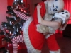 sexy_cosplay_santa_1280