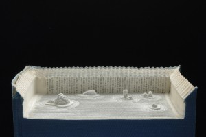 ryoanji-details_guy_laramée