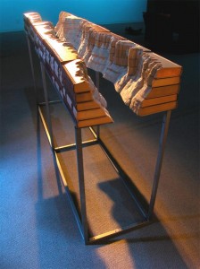 the-grand-library800_guy_laramée